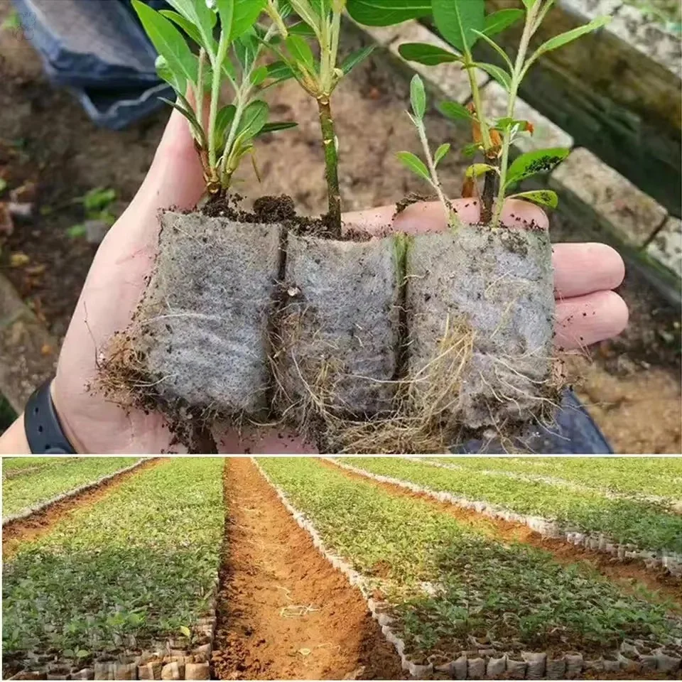 100pcs Biodegradable Seedling Nursery Bags Non-Woven Fabric Plant GrowBags Pouches for Home Garden Seed Starters