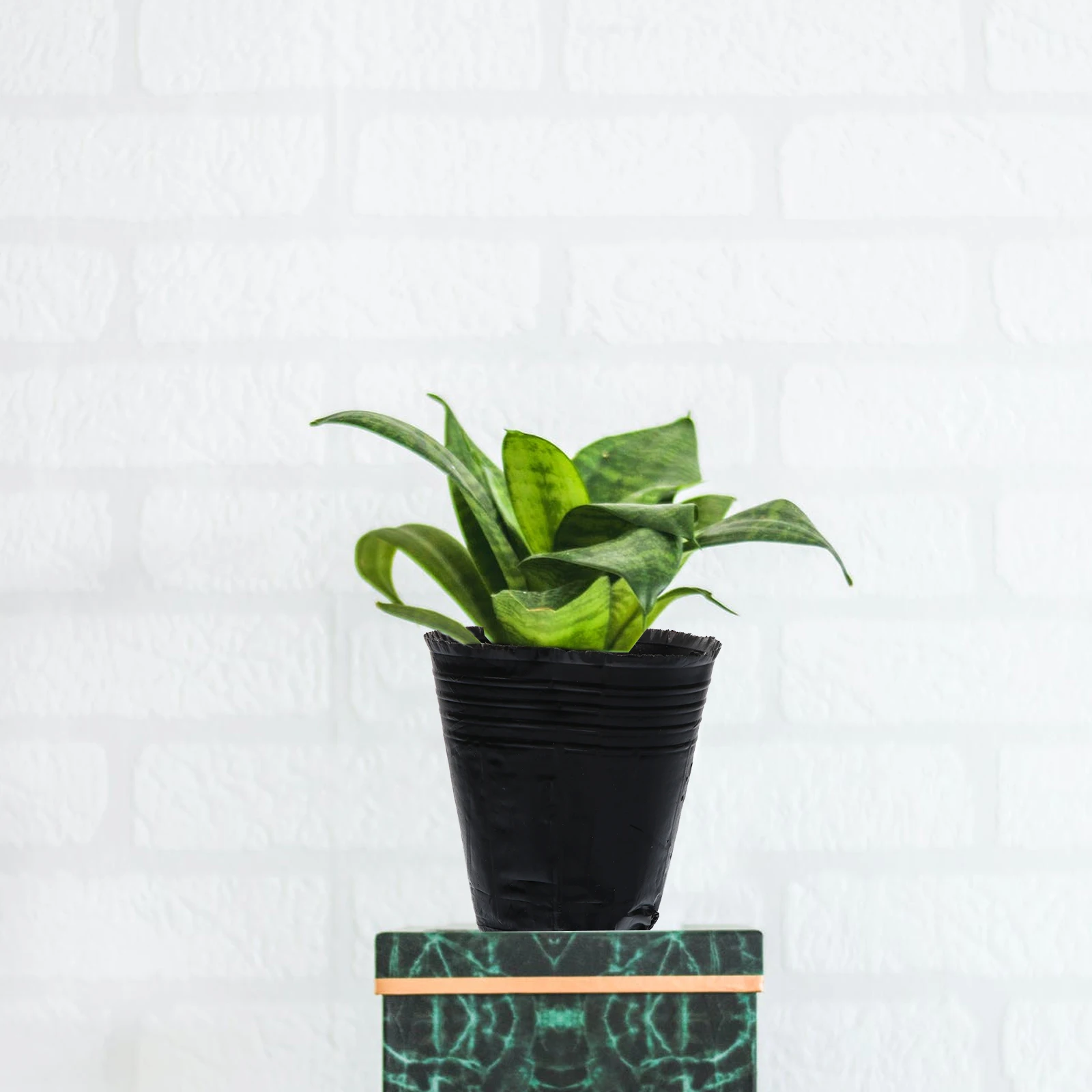 

500 шт. детские горшки для посадки, черные легкие дренажные отверстия, небольшие стартовые контейнеры для растений для сада, овощей, цветов