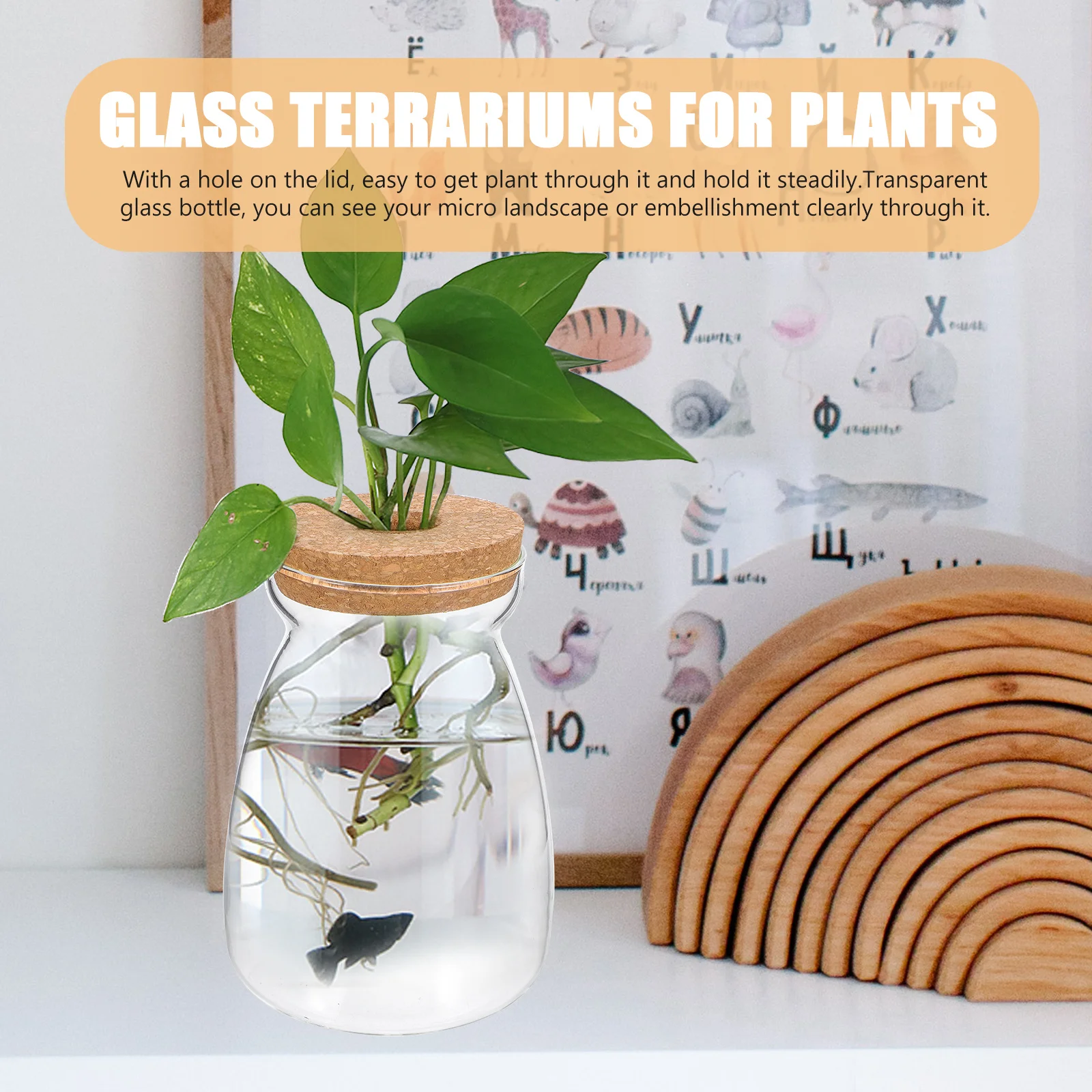 

Glass Terrarium Jar Small Fish Tank Hydroponic Plants Container Ecosystem Container Size L Transparent Design Bedroom Decor