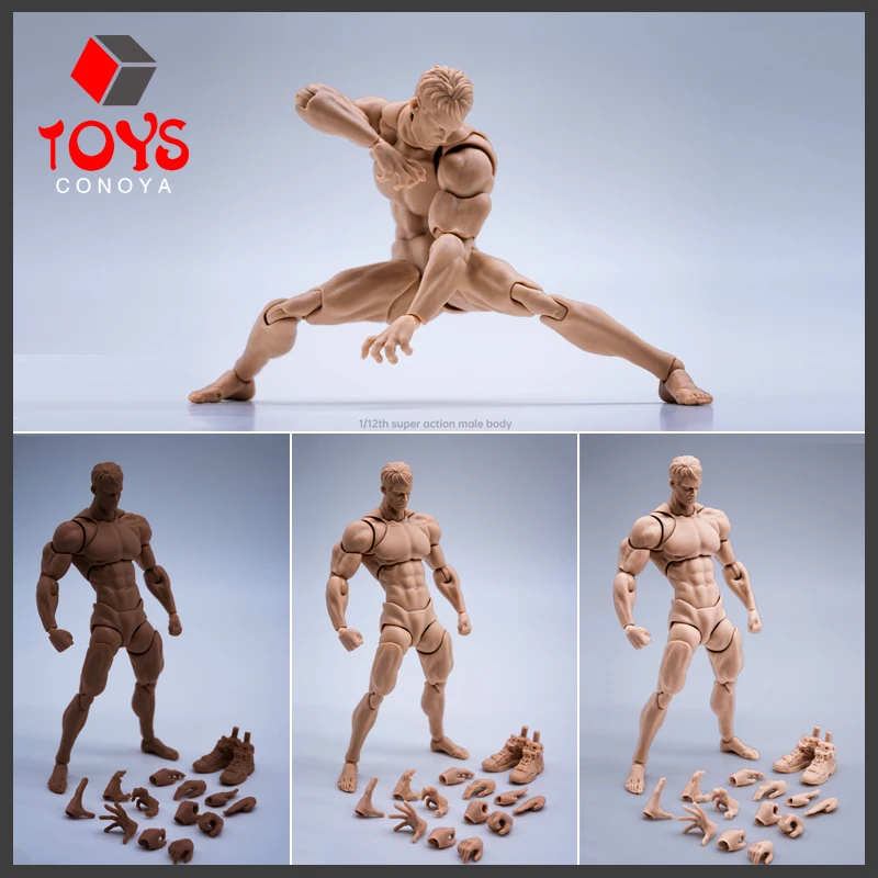 

【2025 Q1】Wind Toys 1/12 Male Muscle Strong Super Flexible Joint Body 16cm Action Figure Doll with Head Sculpt 7 Pair of Hands