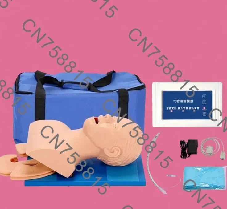 

oral cavity, nasopharynx，Emergency medical care training model, humanoid model，electronic human tracheal intubation model