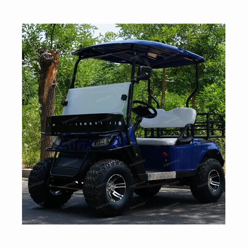 

Custom Private Label 48V Electric Charging Cart Steel Voiturette De Golf Club Car