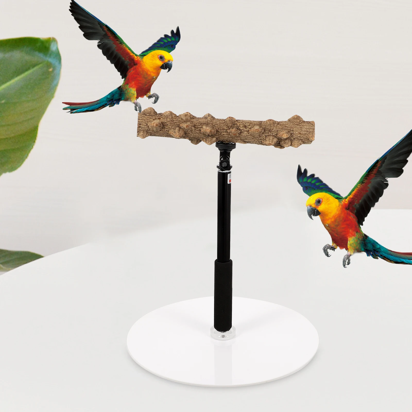 

Adjustable Height Perch St Natural Bird Perch St Wood Metal Durable Easy Clean Parrot Play Outdoor Fitness Accessories