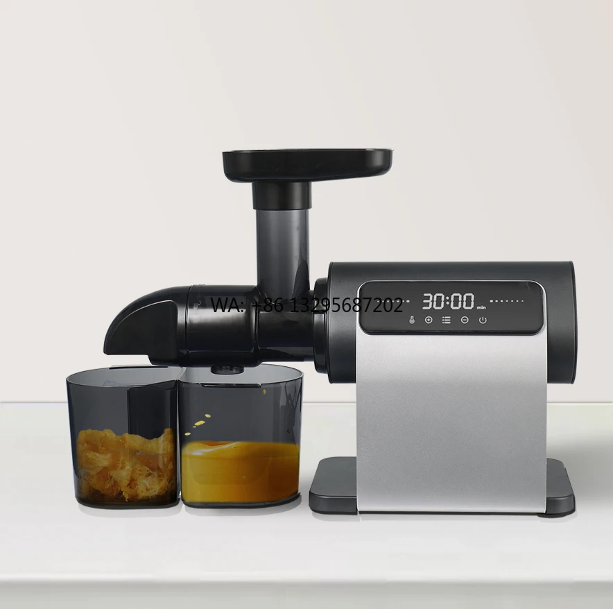 

Low Noise 600W Fruit and Vegetable Slow Juicer Portable Juicer Blender Electric Masticating Juicer