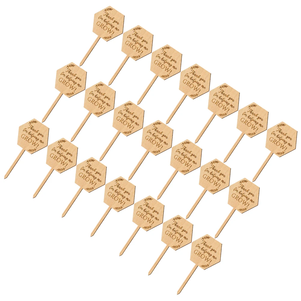 

40 Pcs Wood Plant Labels Nursery Gardens Flower Identifying Boards Name Tags Fade Resistant Garden Markers Succulents