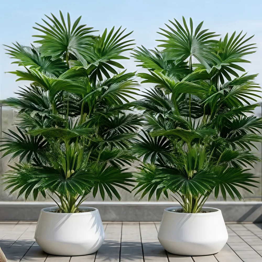 1 unidad de planta artificial grande de 60-105 cm, árbol de girasol de hoja de abanico artificial grande, hojas de plástico, palmera artificial de jungla para el hogar