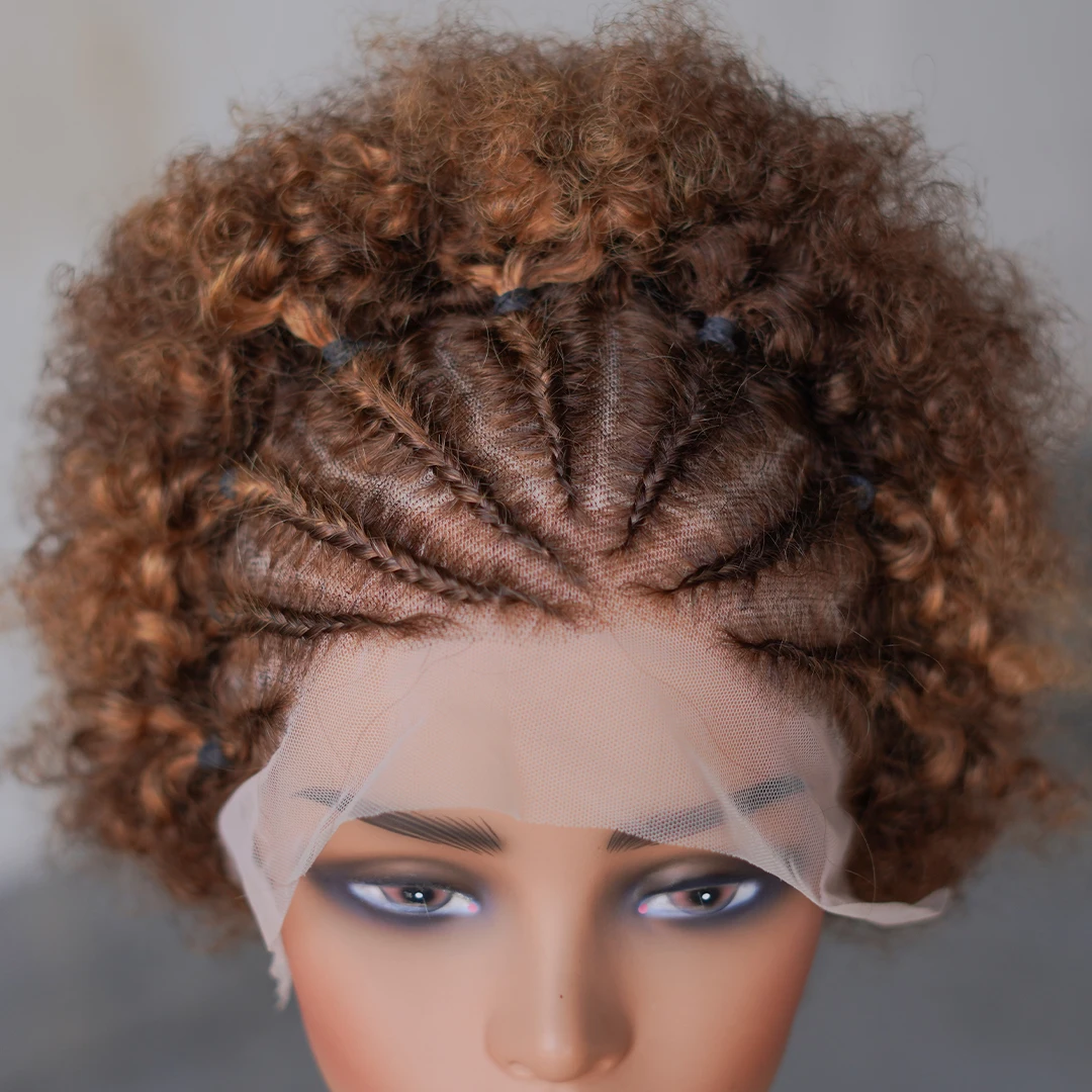 여성용 아프로 곱슬 가발, 브레이드가 있는 다채로운 인모 가발, 13 × 4 레이스 프론트 가발, 레미 인모 가발