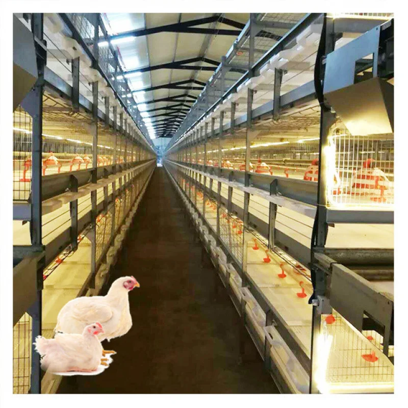 自動耐久性家禽農場H型ブロイラー鶏用バタリーケージ