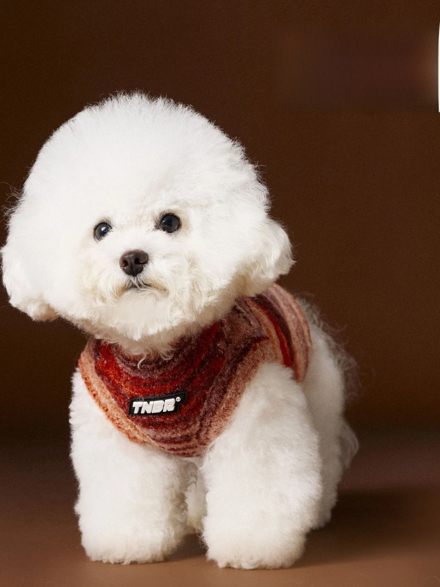 

Свитер для собак в радужную полоску, жилет Svel Yorkie Teddy Schnauzer Bichon, повседневная теплая нескользящая уличная осенняя одежда