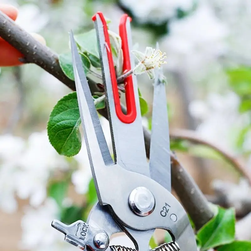 

E1PD Lightweight for Apple Picking Scissors Kiwi Pear Thinning Scissor Double Mouth