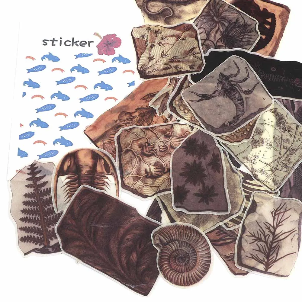 Retro Washi Paper Stickers Fossil Rock Sticker Scrapbooking Label Decorative Diary Planner Stationery Stickers