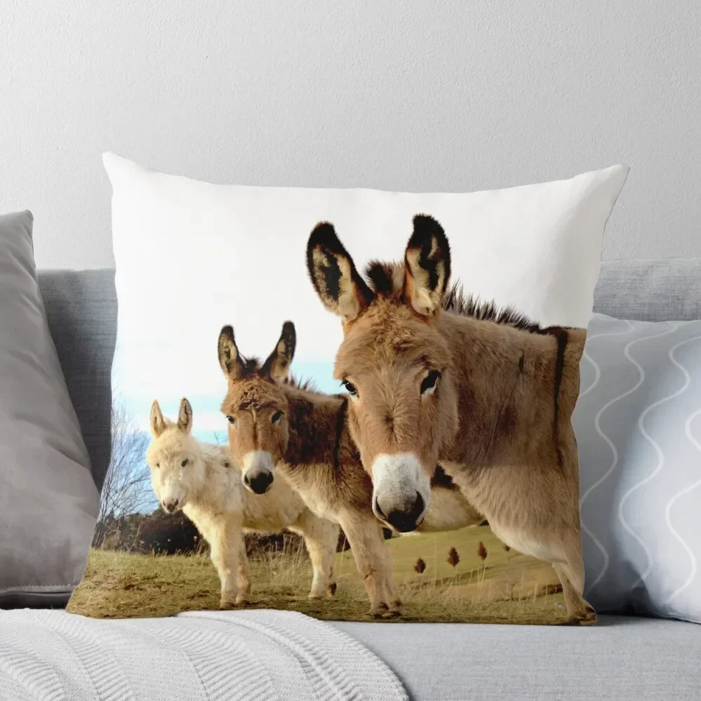 

Donkey Trio Throw Pillow Rectangular Cushion Cover Cushion Cover Set Christmas Pillowcase Pillow