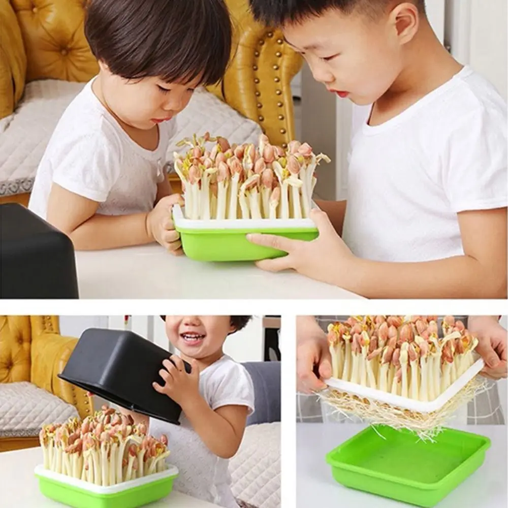 Garlic Soilless Water Cultivation Plant Hydroponic Sprout Planting Pot Sprout Planting Box Seedling Tray Garden Supplies - Image 2