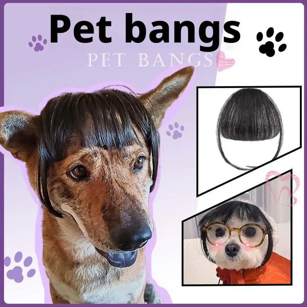 ペットウィッグコスプレ小道具ストレートヘアウィッグパーティー犬コスプレ子犬帽子子猫 Hotography 面白いペット用品コスト E0s3