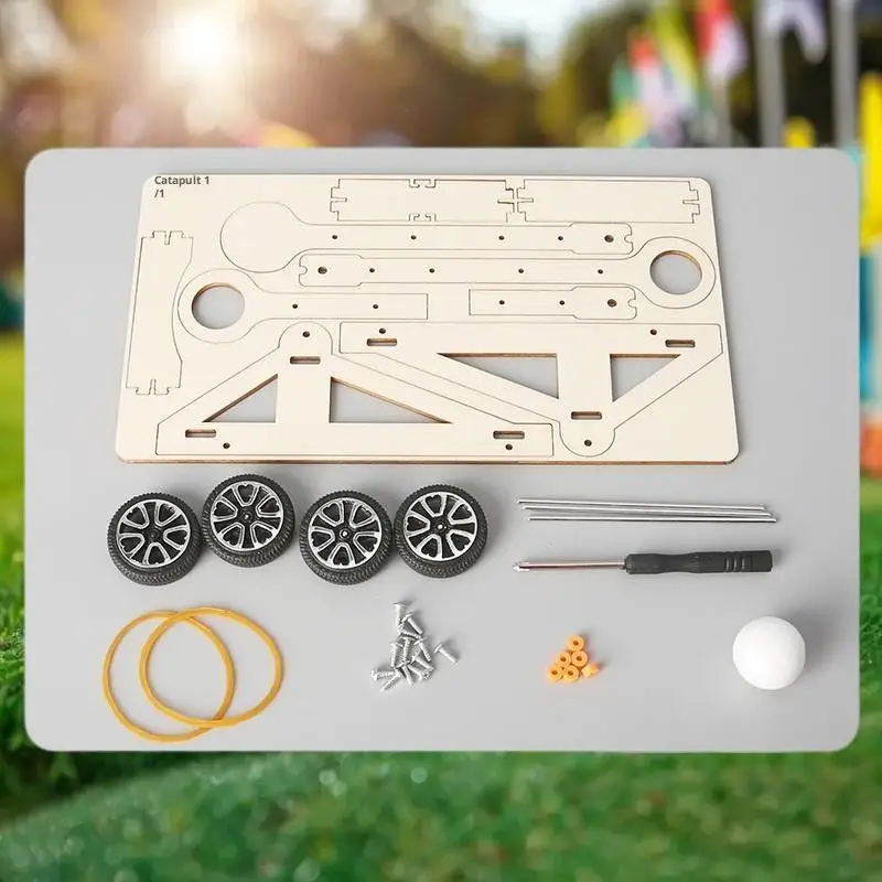 

Hands-on Science Experiment DIY Kit with Catapult Toy, Education Physics Model for Kids Gift