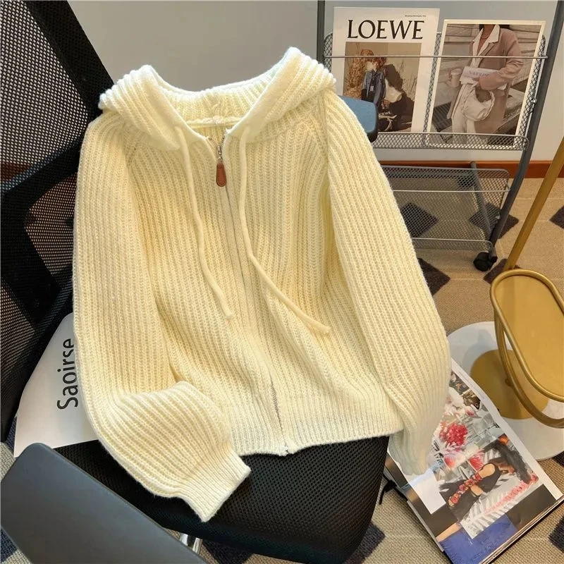 Cardigan en tricot avec fermeture éclair à capuche pour dames, manteau pull paresseux, haut de style design, mode automne et hiver, nouveau, 2024