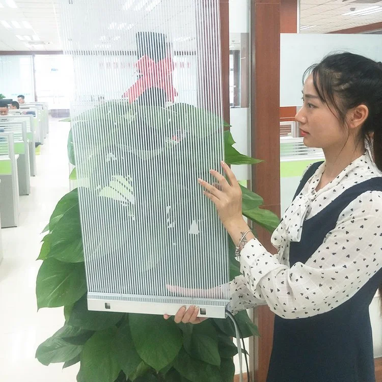 

LED Film Screen Window Photoelectric Glass Display New Crystal Film Screen Invisible Lamp Beads