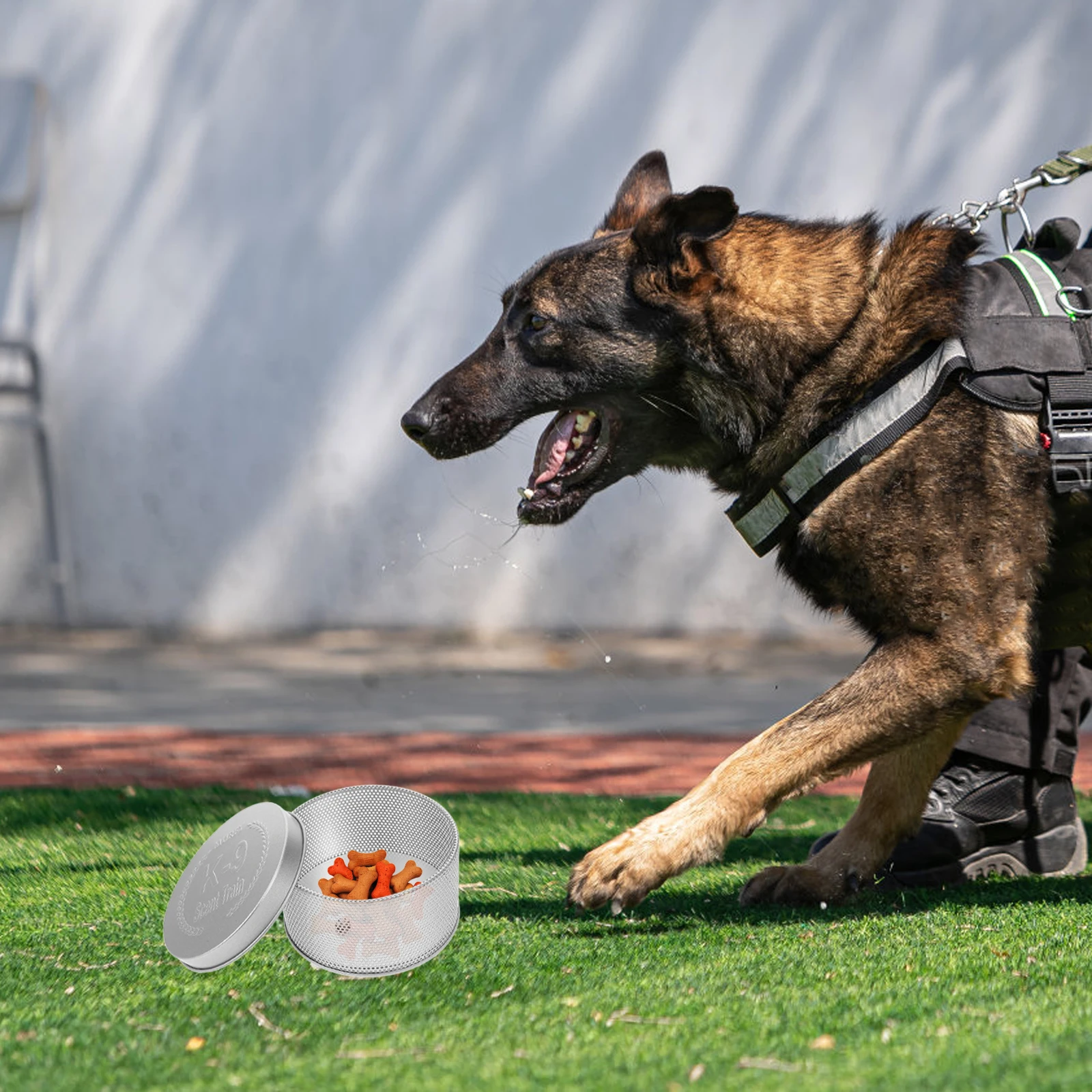 

Jar Dog Nose Holder Stainless Steel Dog Scent Training Case Agility Boxes Odor Container Pet Scenting Supplies