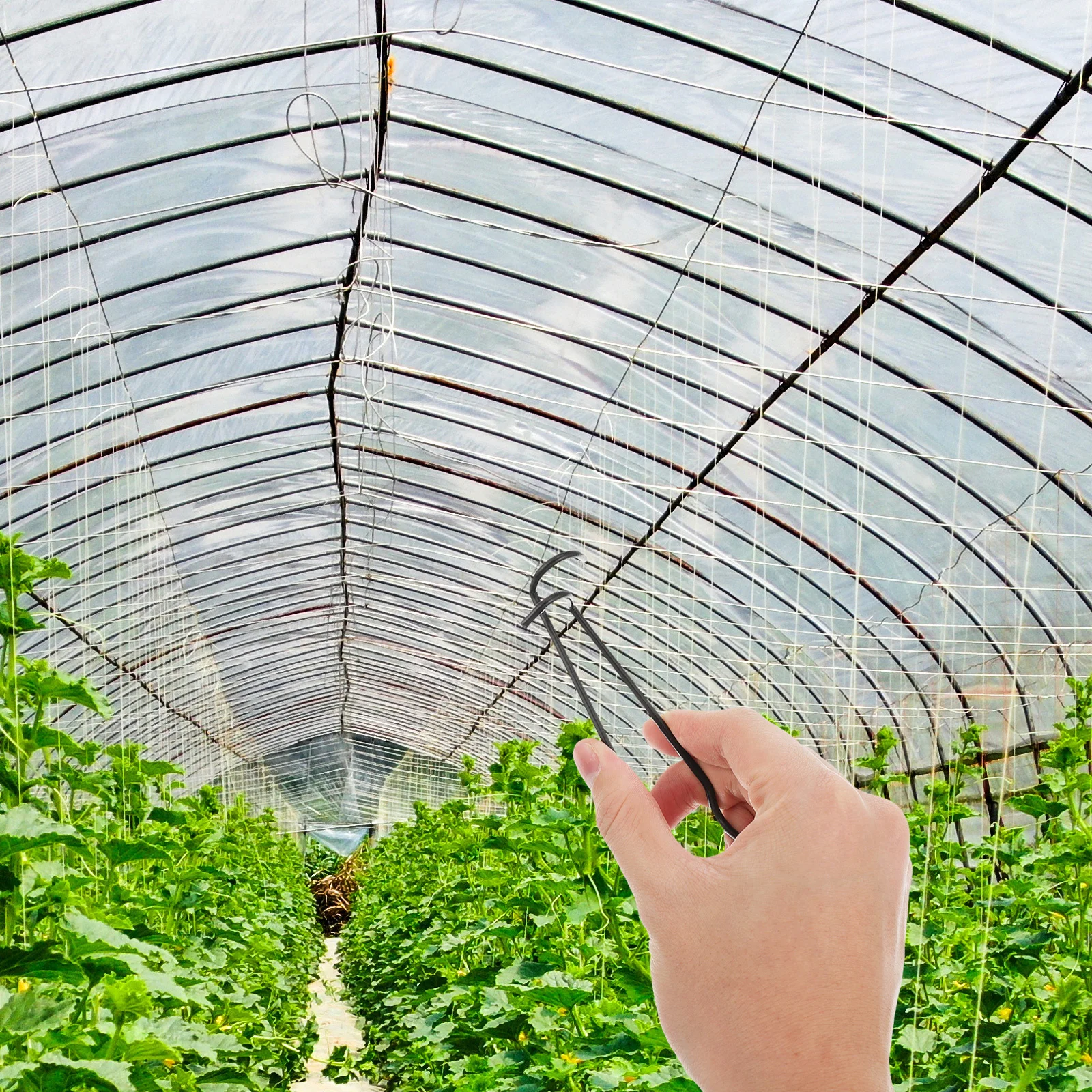 

20Pcs Steel Wire Buckle High Quality Fixing Greenhouse Support DIY Building Assembly Accessories Greenhouse Building Accessories