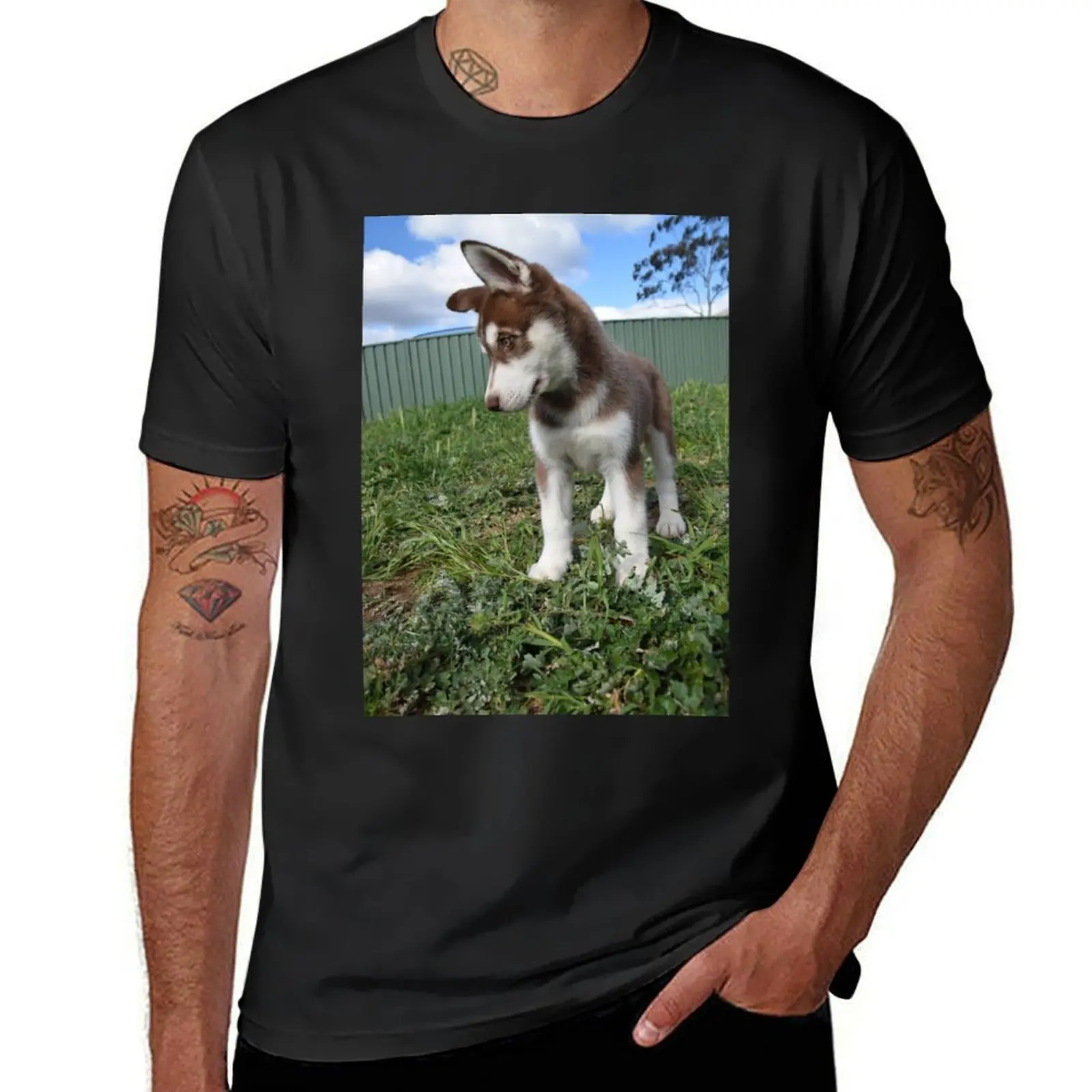 Jax-husky/malamute puppy T-shirt customs design your own for a boy summer top t shirts for men pack