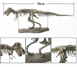 70cm Simulation Dinosaur Fossilized Toys Ornament Kits Pigment T-Rex Model Jurass Dino Skeleton DIY Assembled Park Toy for Boys