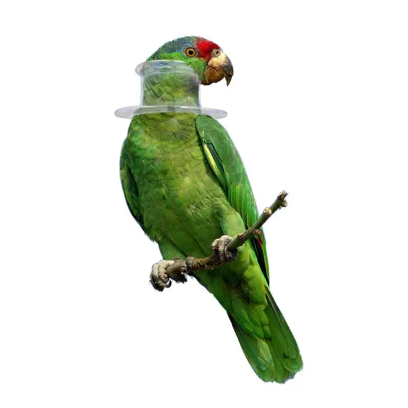 Bird Protective Bead Parrot Anti Feather Picking Antiplucking Collar Medical Antibiting Collar Elizabethan Cockatoo