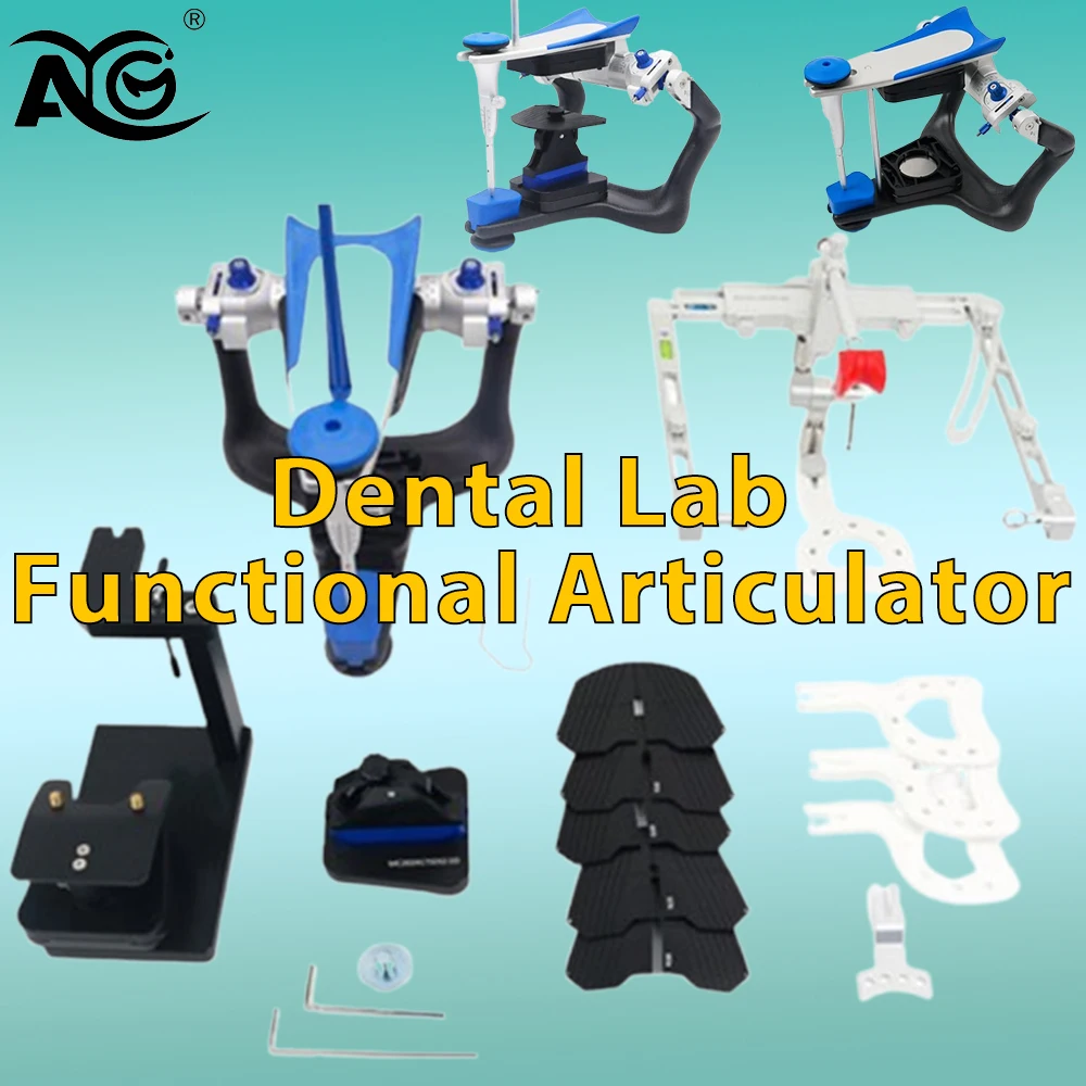 

Стоматологический функциональный артикулятор AG: Модель зубов с точной масштабной гипсовой моделью для зуботехнической лаборатории