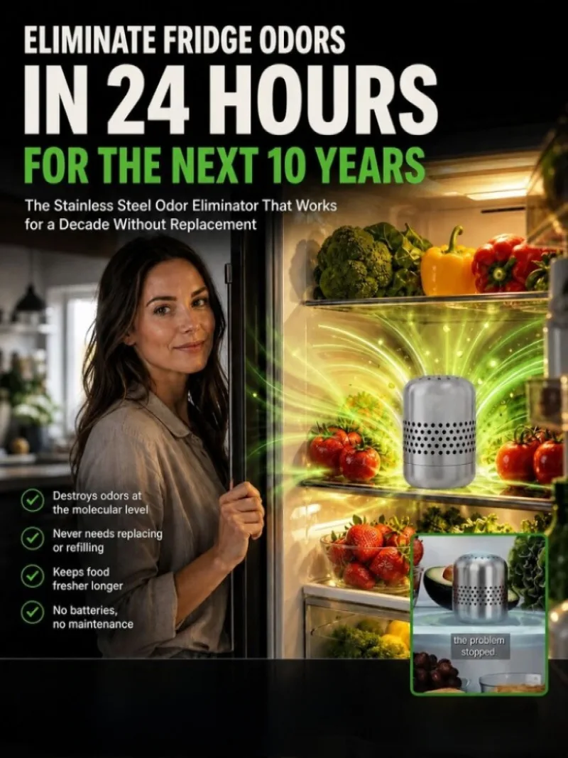 Stainless Steel Refrigerator Deodorizer Sterilization Deodorization Fridge Odor Eliminator Long-Lasting Catalytic Decomposition
