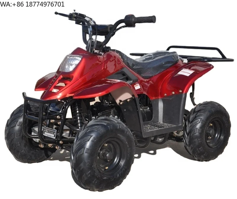 Tao Motor ATV with 6inch Wheel, Electric Start, Remote Shut Off Switch 110cc Gas ATV 110 Kids 12V Automatic Atv 125cc Quad Bike