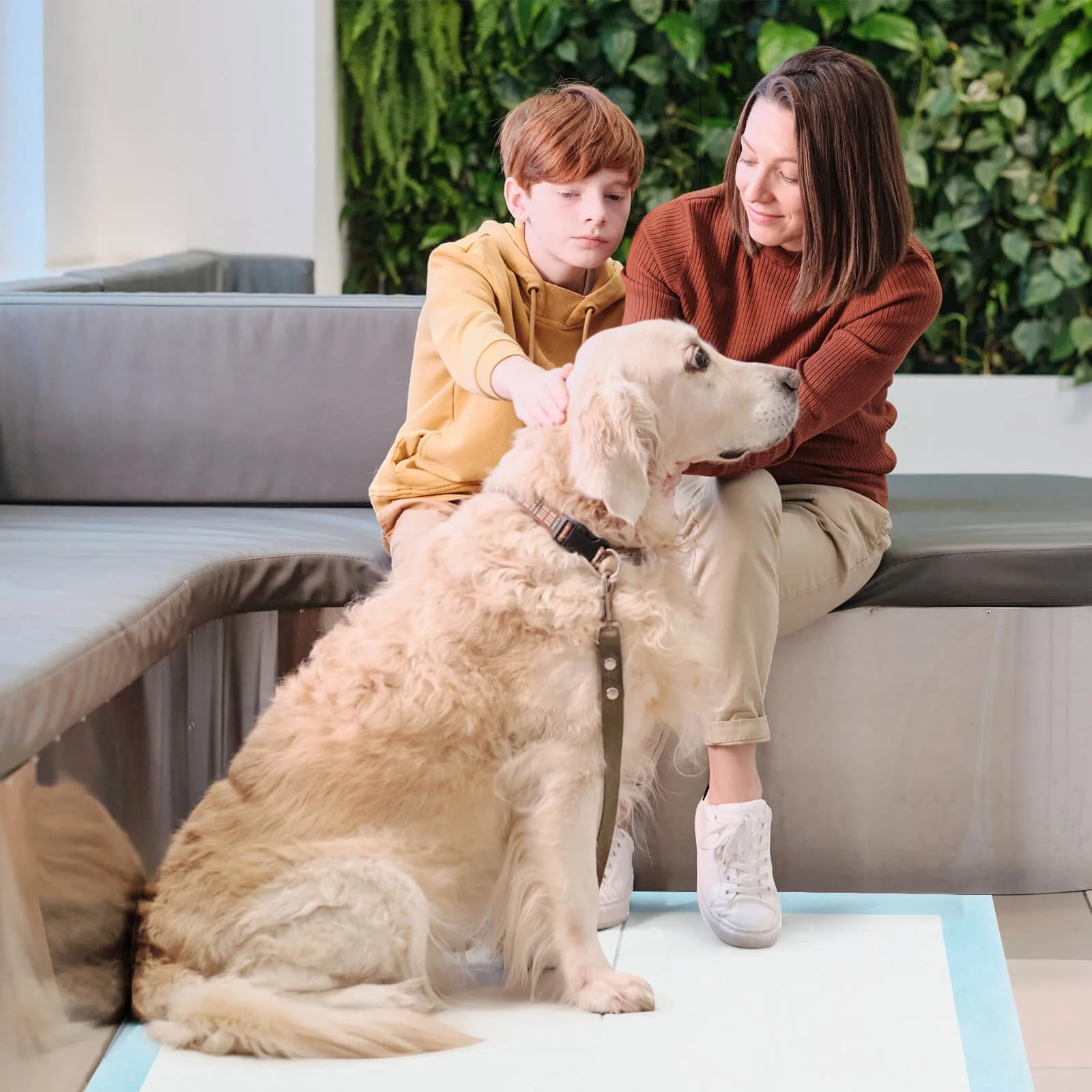 36 بوصة × 36 بوصة (100 قطعة) وسادات تدريب على نونية الكلاب مع وسادات تبول سريعة الجفاف