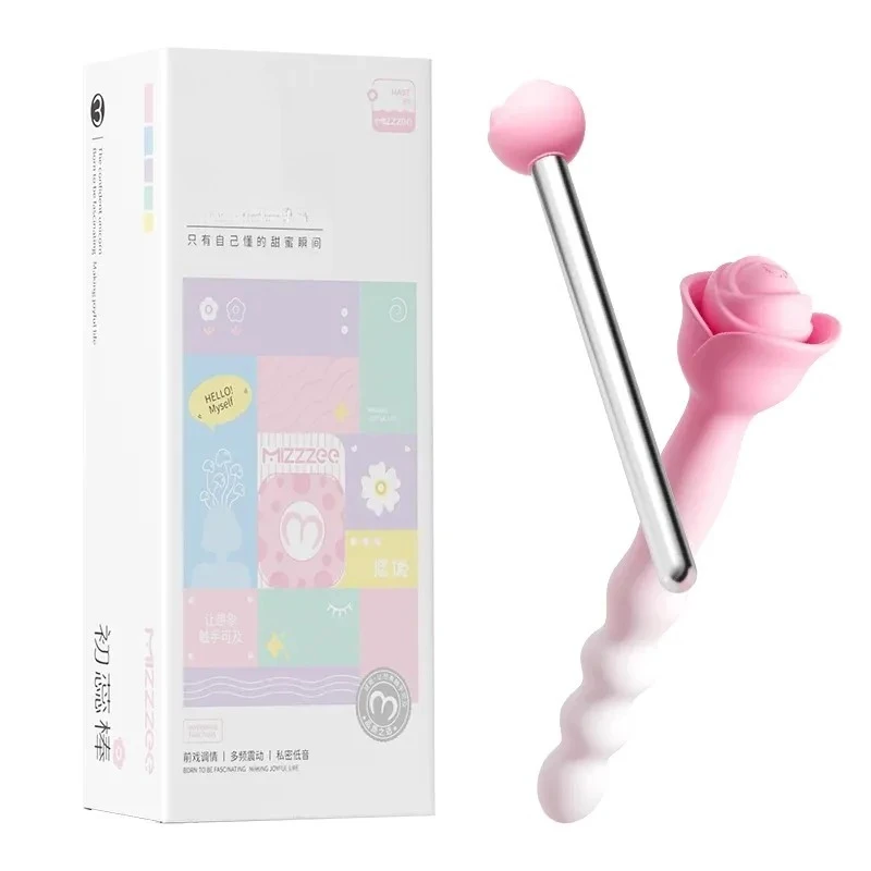 2-in-1 USB Rechargeable Anal Vibrator with Pull Beads  Silicone Adult Toy for Women, Anal Stimulation & Pleasure