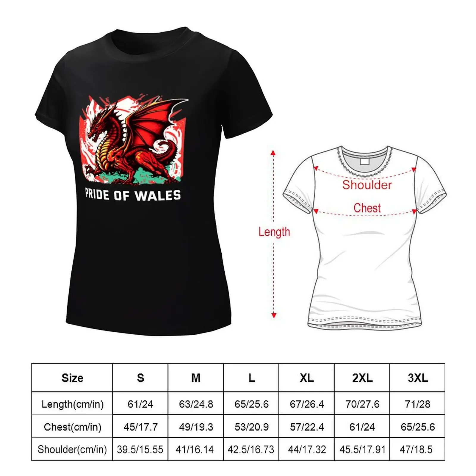 Pride of wales T-shirt summer clothes kawaii clothes hippie clothes summer for Women