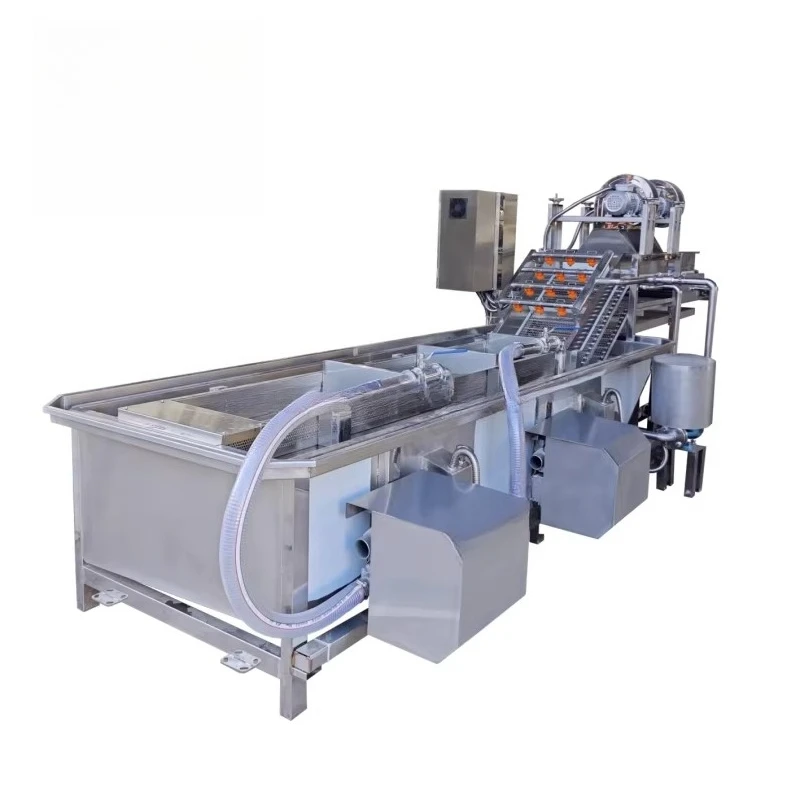 Industrial Fruit and Vegetable Bubble Washing Machine/cleaning Equip Automatic Large Commercial Continuous Leaf Washing Machine view 2