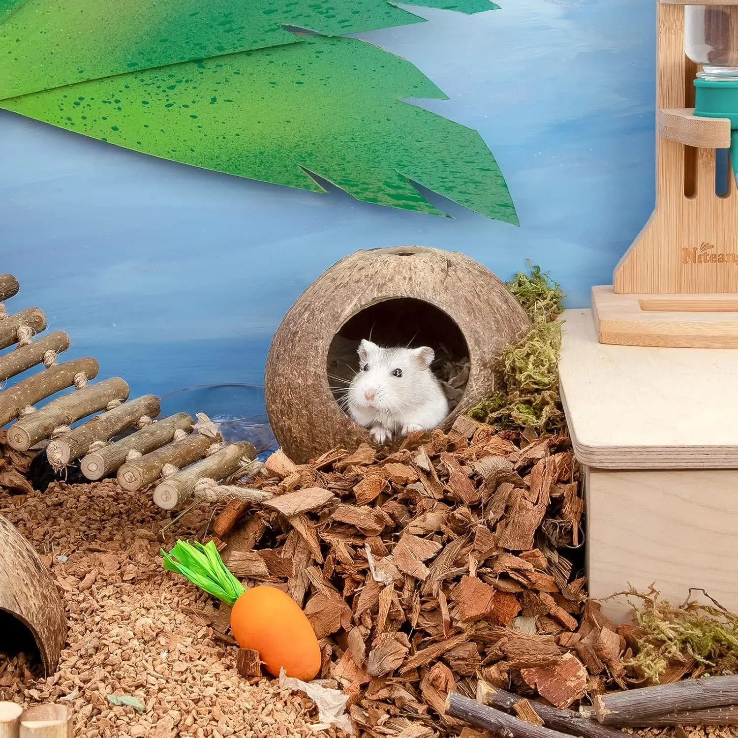 Coconut Hut Hamster…