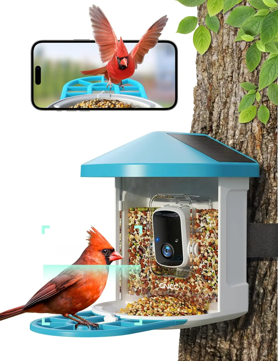 GNCC Smart Bird Feeder with Camera Wireless Outdoor, 1080P Wild Bird Feeders, Squirrel Proof, Auto Bird Video Storage