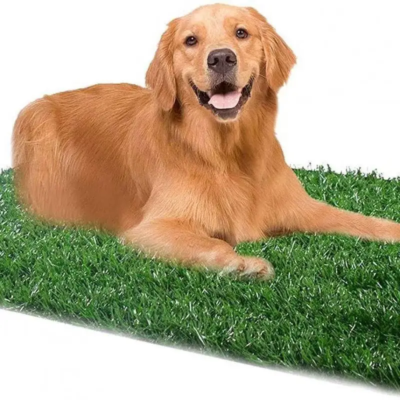 

Washable Artificial Grass Dog Potty Trainer, Pet Urine Mat, Dog Toilet Replacement Pad, Easy To Clean, Indoor Pet Training
