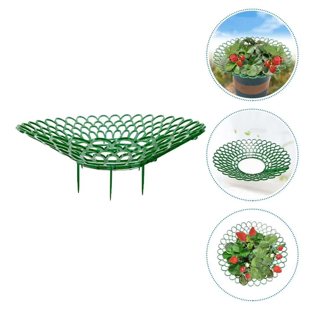 5 Pcs Shelves for Gardening Tools Strawberry Cages Pot Plant Support Holder Supports Racks