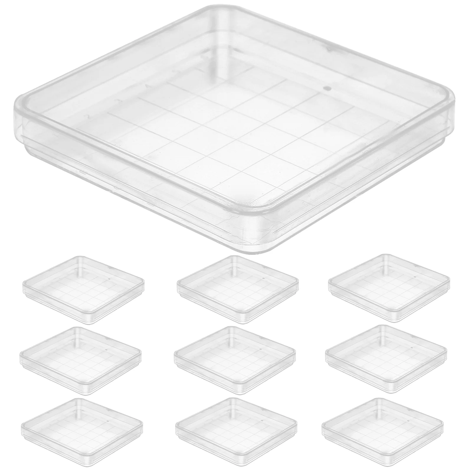 10 Pcs Petri Dish Chemistry Holder Lab Dishes Tray with Lid Plates Agar Plastic