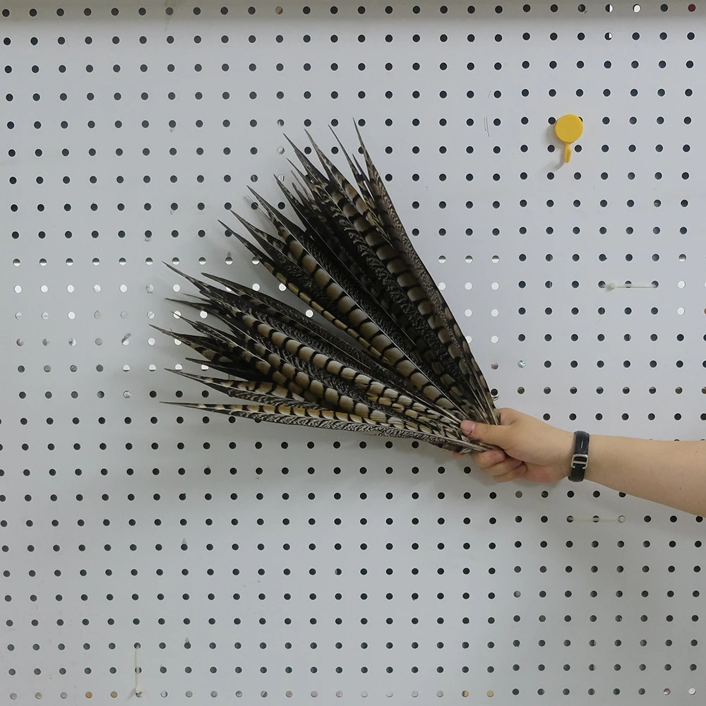 10pcs/lot Natural Pheasant Feathers for Crafts on The Head Extensions 10-60cm Long Feather Tail Carnival Accessories Decoration