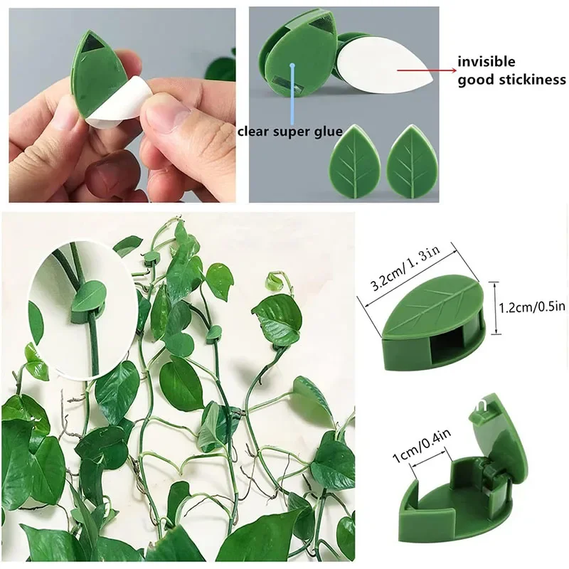 

10-30Pcs Plant Climbing Wall Fixture Clips Acrylic Sticker Self-Adhesive Hook Plant Vine Traction Holder Indoor Outdoor Decor