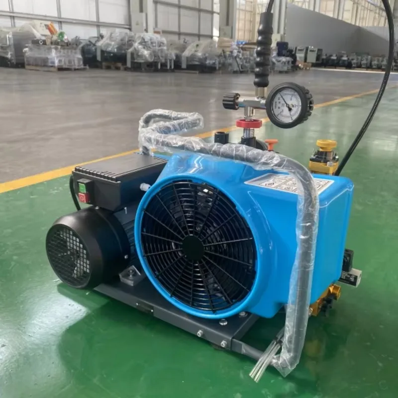 Automatic Shutdown 300bar Air Compressor Diving Breathing Cylinder Snorkeling Coral Reef Adventure Breathing Pump for Breathing