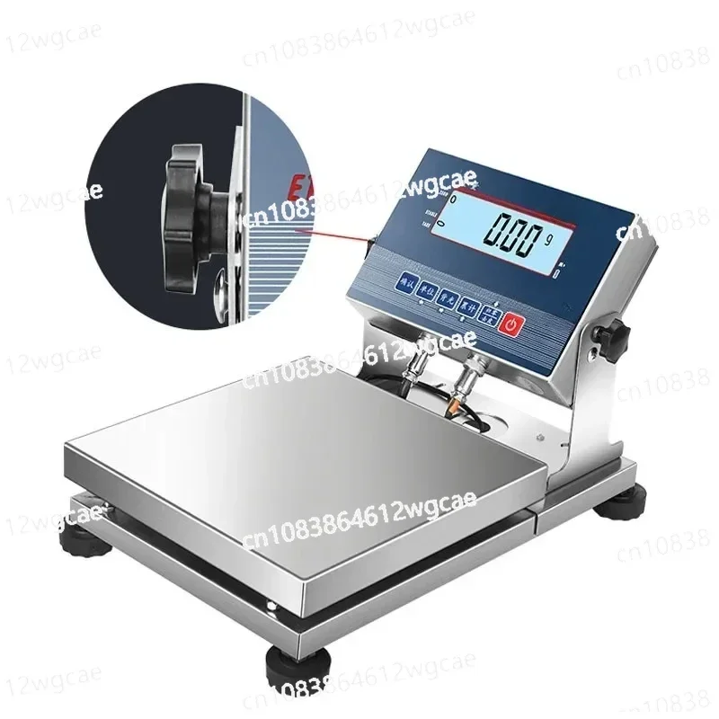 5kg Electronic Scale 30kg/1g 20kg/0.1g Stainless Steel Industrial Platform Scale for Paint Chemical Industry