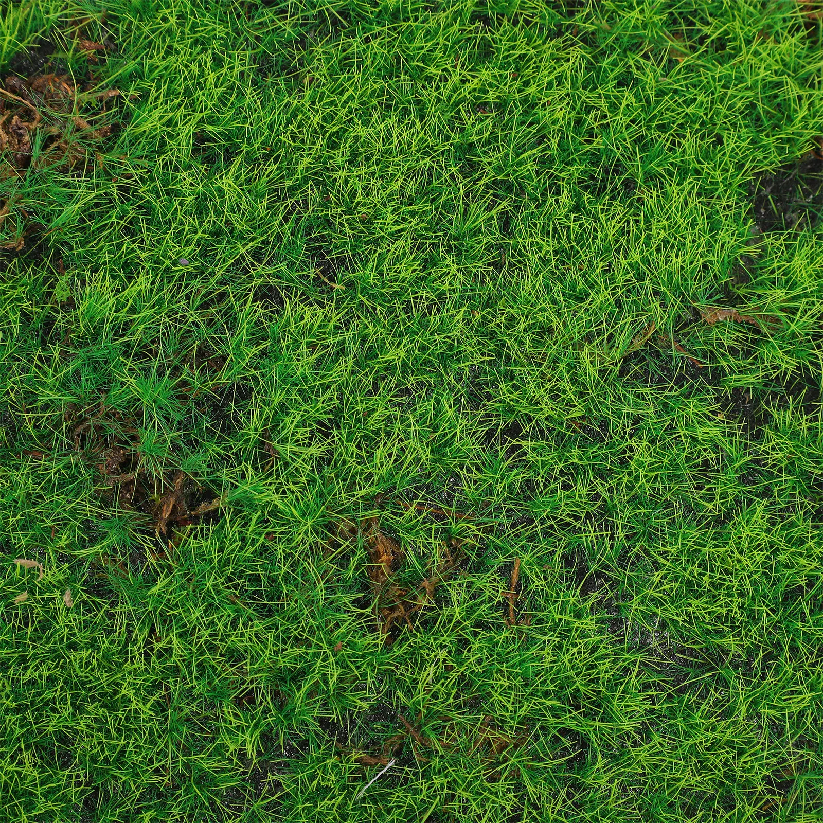 

Simulated Moss Turf Grass Artificial Decor Decorative Green for Planters Simulation Crafts