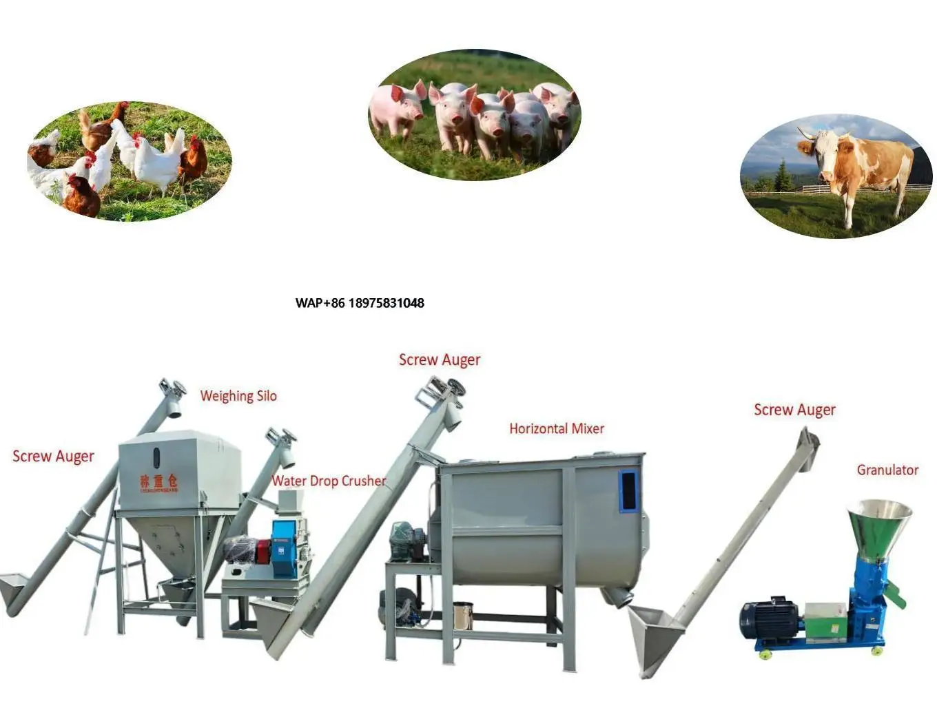 

Factory direct sales high productivity new animal feed production line 1 ton per hour sheep, chickens, pigs and cattle