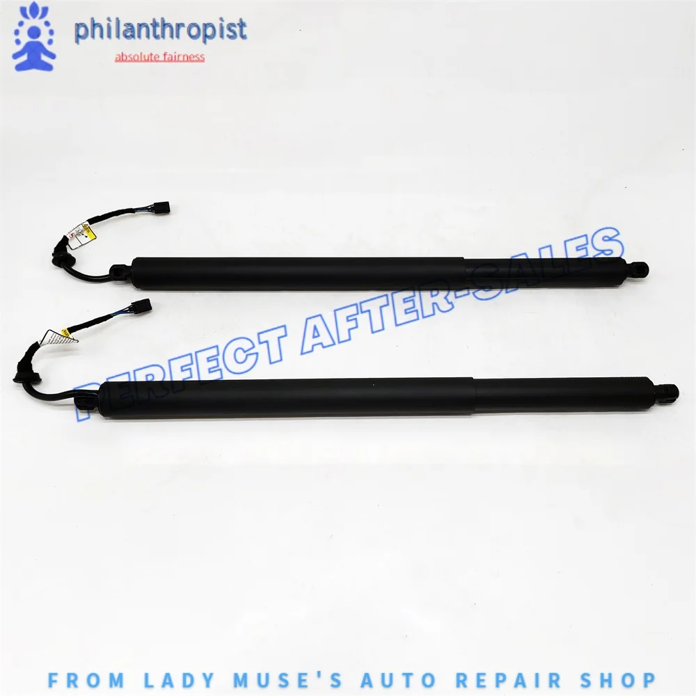 

For Audi E-Tron Sportback Gea Linkseitete Heckklappe Gasstrut 4Ke827851f 30323478