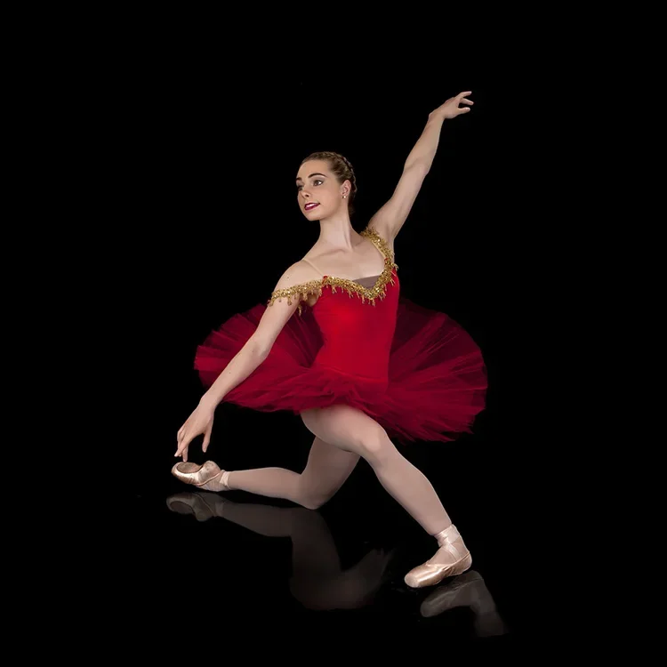 

Red velvet Pancaked Professional Ballet Tutu, Dance Performance Classical Stiff Tutu Costumes
