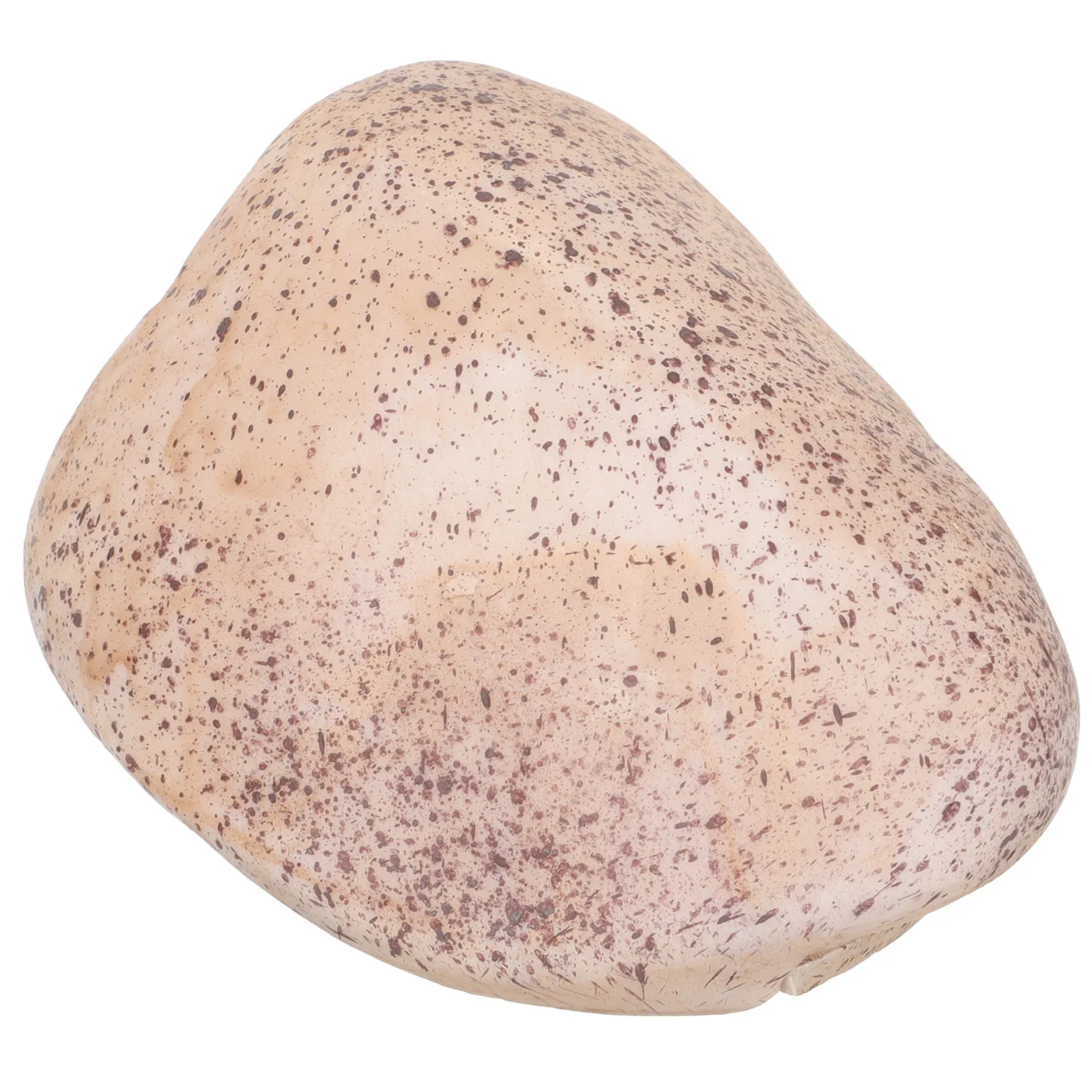 صندوق حجري حامل الصخور في الهواء الطلق حديقة مخفي وهمية حجر مفتاح حامل دائم الراتنج حقيبة للتخزين ل #3