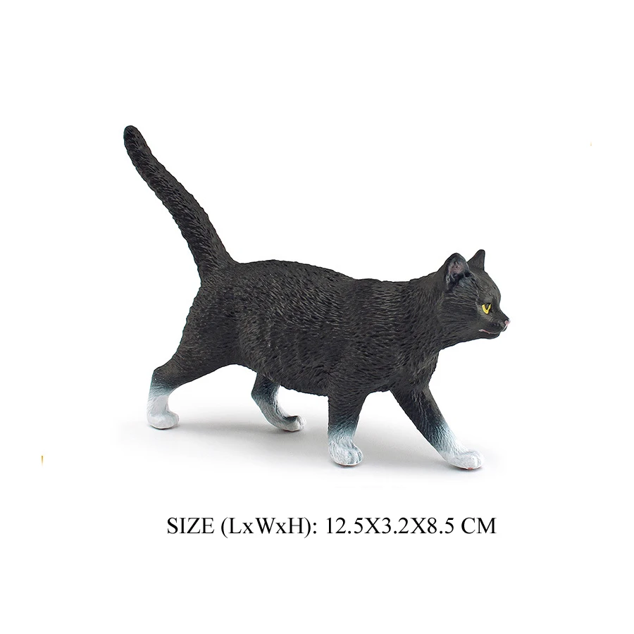 Cat -12