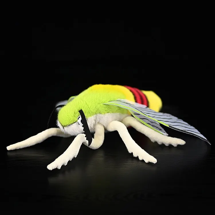 Cephonodes Hylas Knickknack,nicknack,Small Ornaments and Miniature Models,Coffee Hawk Moth, Coffee Bee Hawkmoth
