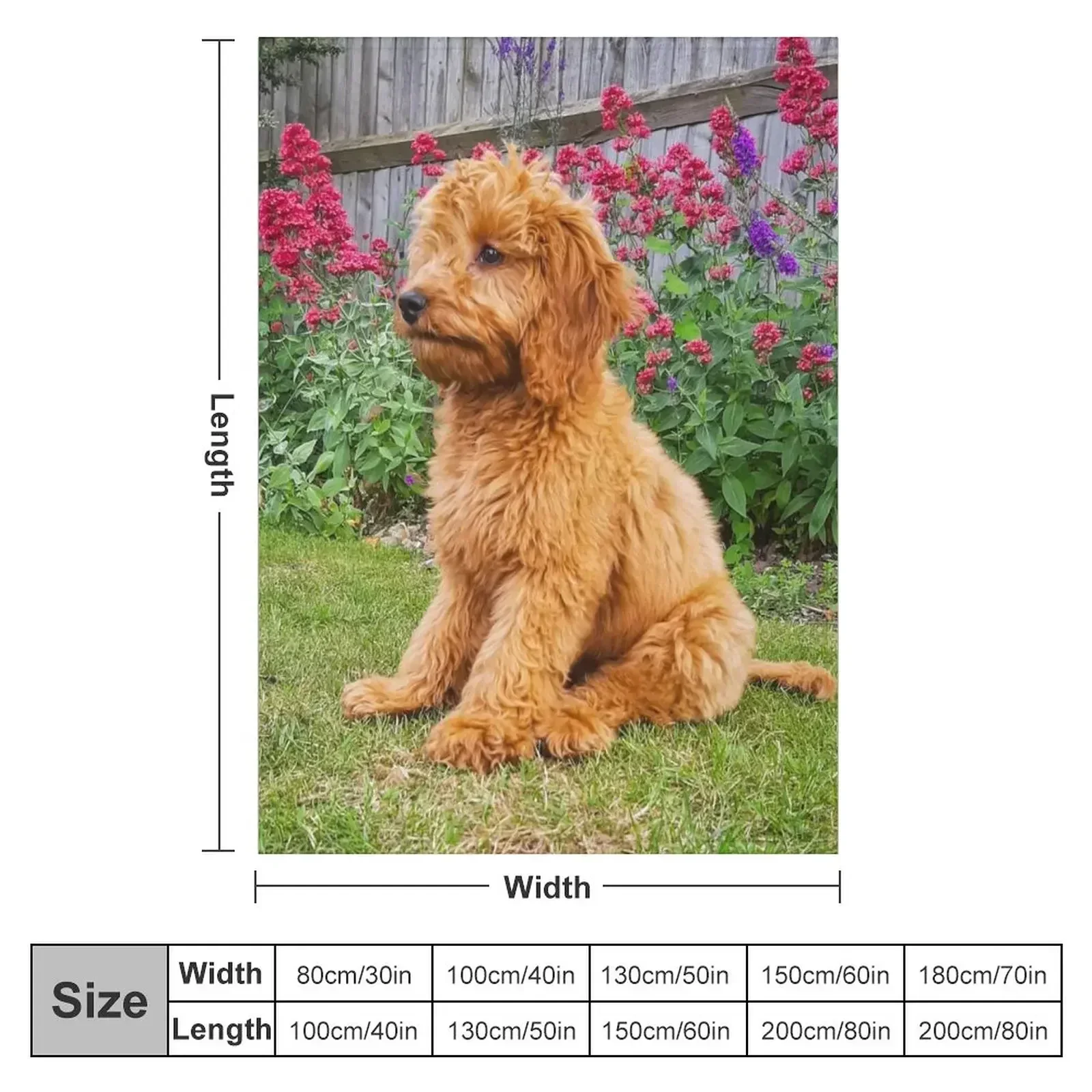 Red Cockapoo Puppy Throw Blanket funny gift Decorative Sofa for sofa Quilt Single wednesday Blankets